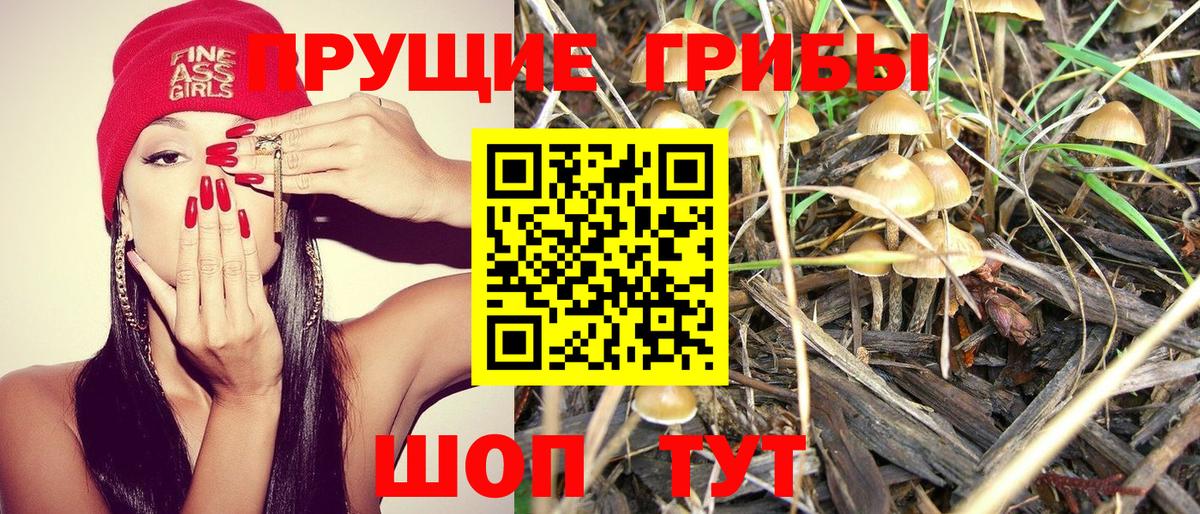 Галлюциногенные грибы Psilocybine cubensis  Вход с VPN  где можно купить   Конаково 