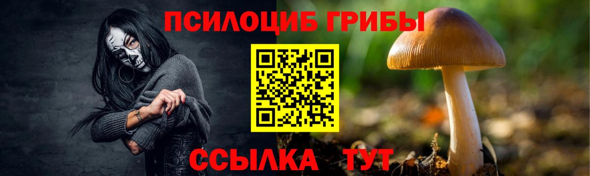 Галлюциногенные грибы Psilocybe Конаково